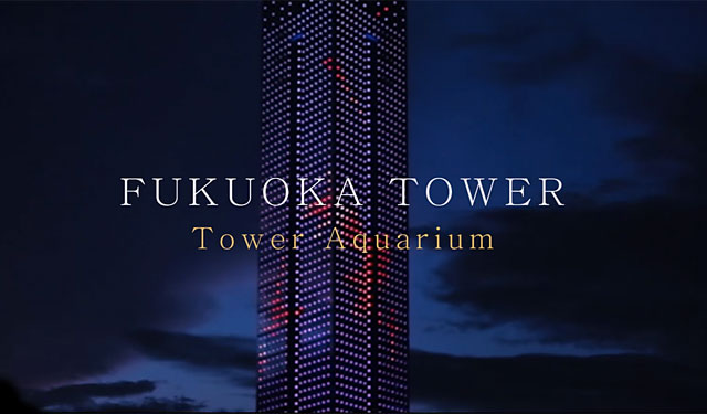 福岡タワー　イルミネーション